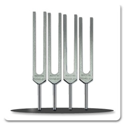 DNA Nucleotides Set